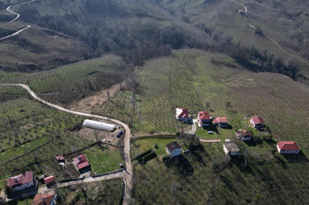 C 21 DEN DELİKKAYA ÖVÜNDÜK MAH. 18.600 M2 FINDIK BAHÇESİ 