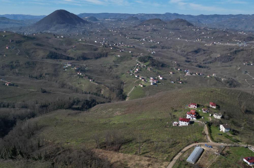 C 21 DEN DELİKKAYA ÖVÜNDÜK MAH. 18.600 M2 FINDIK BAHÇESİ 