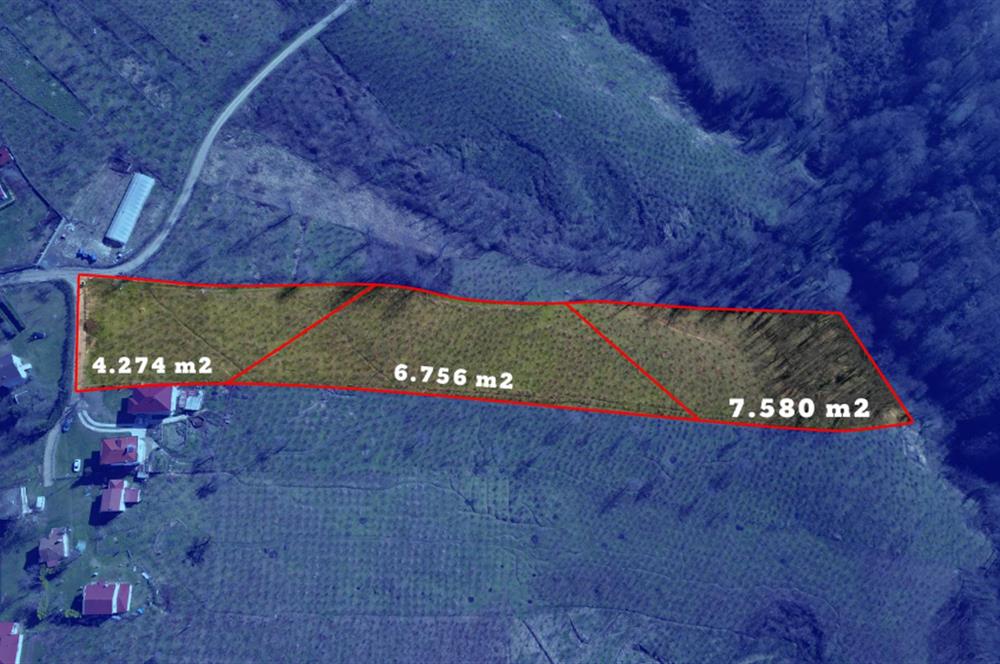 C 21 DEN DELİKKAYA ÖVÜNDÜK MAH. 18.600 M2 FINDIK BAHÇESİ 