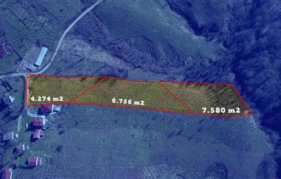 C 21 DEN DELİKKAYA ÖVÜNDÜK MAH. 18.600 M2 FINDIK BAHÇESİ 