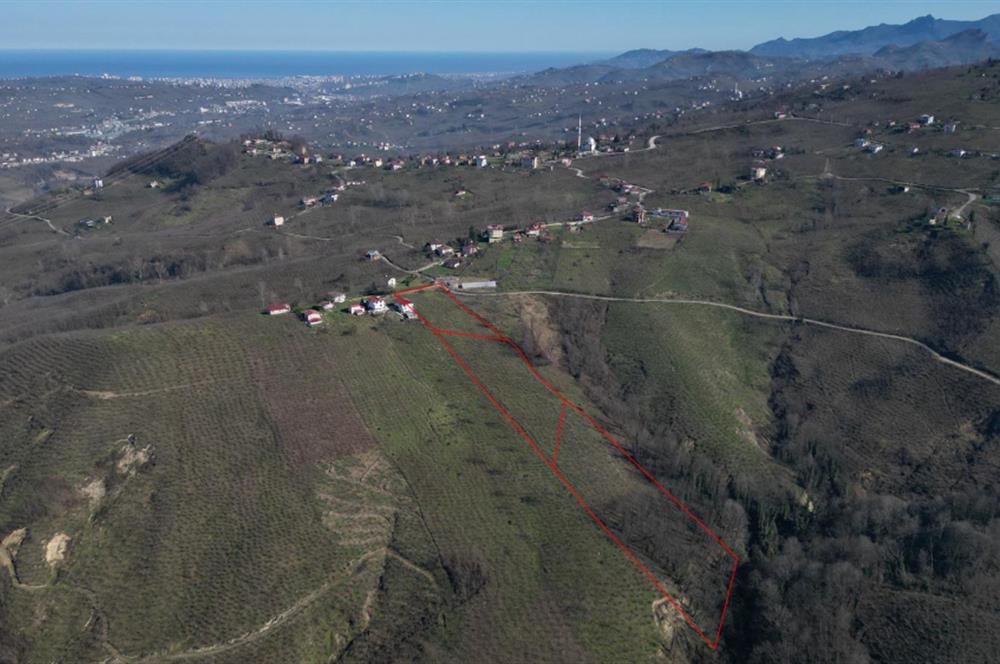 C 21 DEN DELİKKAYA ÖVÜNDÜK MAH. 18.600 M2 FINDIK BAHÇESİ 