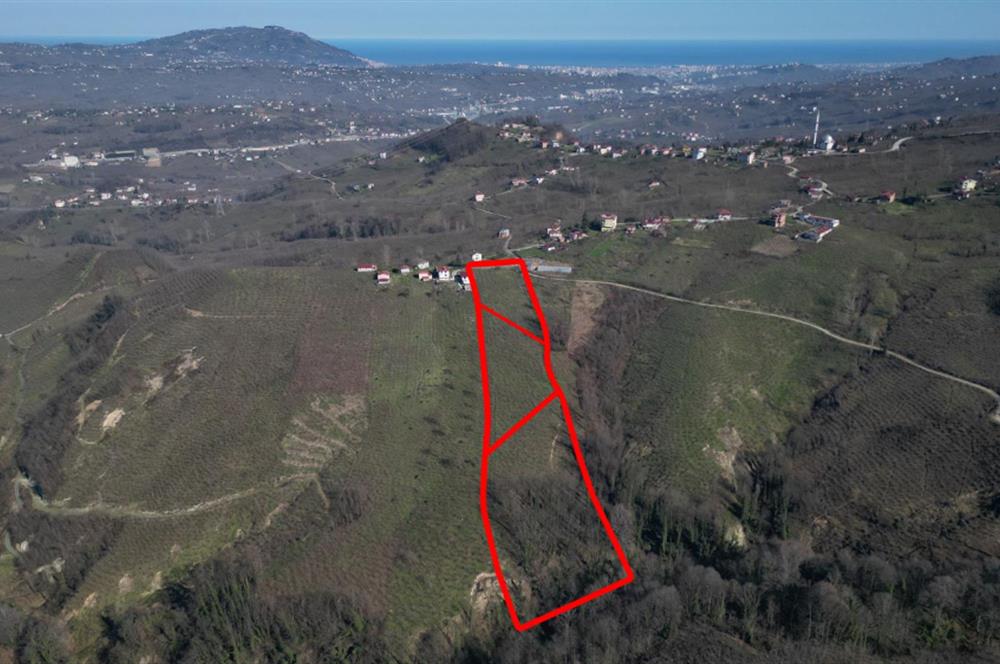 C 21 DEN DELİKKAYA ÖVÜNDÜK MAH. 18.600 M2 FINDIK BAHÇESİ 
