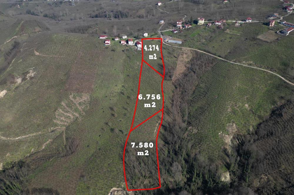 C 21 DEN DELİKKAYA ÖVÜNDÜK MAH. 18.600 M2 FINDIK BAHÇESİ 