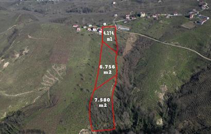 C 21 DEN DELİKKAYA ÖVÜNDÜK MAH. 18.600 M2 FINDIK BAHÇESİ 