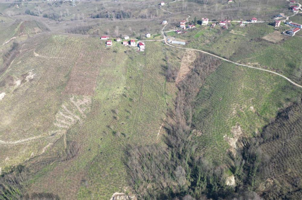 C 21 DEN DELİKKAYA ÖVÜNDÜK MAH. 18.600 M2 FINDIK BAHÇESİ 