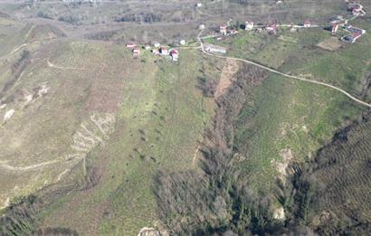 C 21 DEN DELİKKAYA ÖVÜNDÜK MAH. 18.600 M2 FINDIK BAHÇESİ 