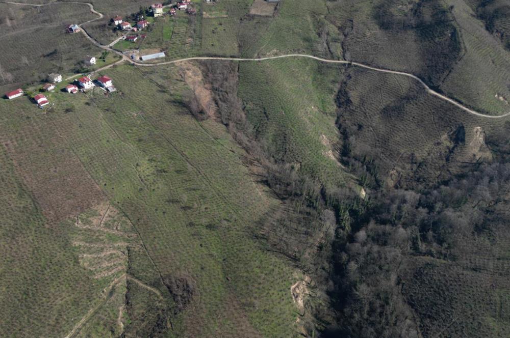 C 21 DEN DELİKKAYA ÖVÜNDÜK MAH. 18.600 M2 FINDIK BAHÇESİ 