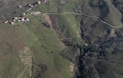 C 21 DEN DELİKKAYA ÖVÜNDÜK MAH. 18.600 M2 FINDIK BAHÇESİ 