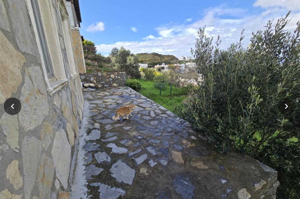 Bodrum Gümüşlük Satılık Deniz Manzaralı İkiz Villa