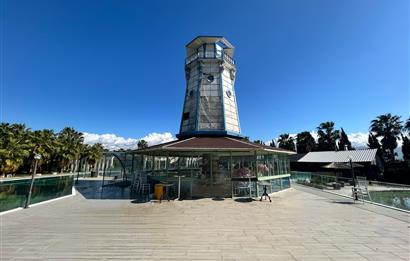 İzmir seyrek satılık işletme 