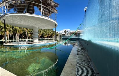 İzmir seyrek satılık işletme 