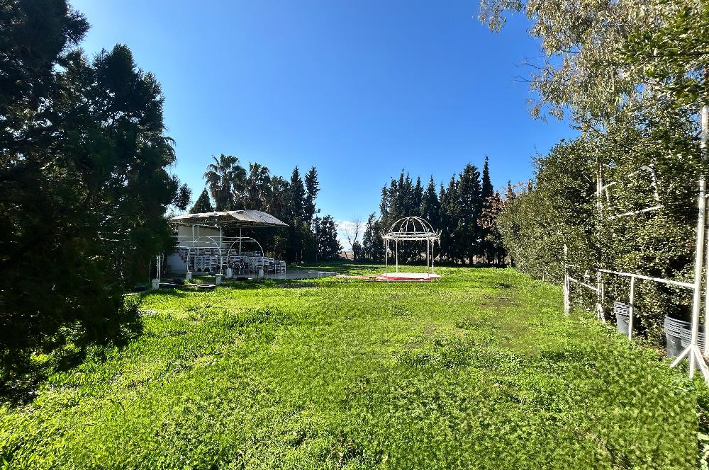 İzmir seyrek satılık işletme 