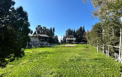 İzmir seyrek satılık işletme 