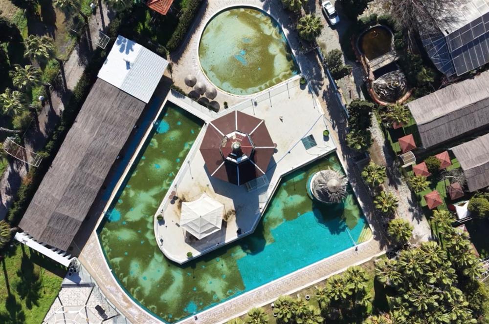 İzmir seyrek satılık işletme 