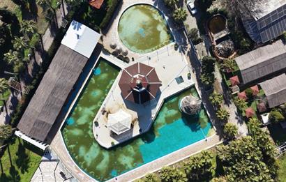 İzmir seyrek satılık işletme 