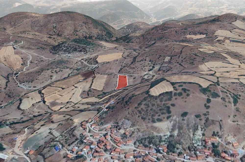 C21 WİNNER SINDIRGI OSMANLAR 4.315m² SATILIK TARLA