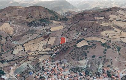 C21 WİNNER SINDIRGI OSMANLAR 4.315m² SATILIK TARLA