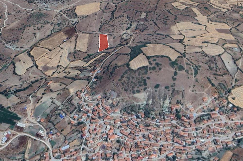 C21 WİNNER SINDIRGI OSMANLAR 4.315m² SATILIK TARLA