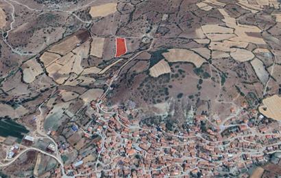 C21 WİNNER SINDIRGI OSMANLAR 4.315m² SATILIK TARLA