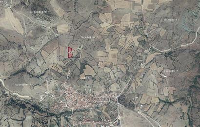 C21 WİNNER SINDIRGI OSMANLAR 4.315m² SATILIK TARLA