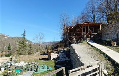 🌿 ORDU AYBASTI’DA DEREYE SIFIR, AHŞAP EVLİ 500 m² SATILIK ARSA 🌿