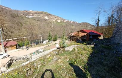 🌿 ORDU AYBASTI’DA DEREYE SIFIR, AHŞAP EVLİ 500 m² SATILIK ARSA 🌿