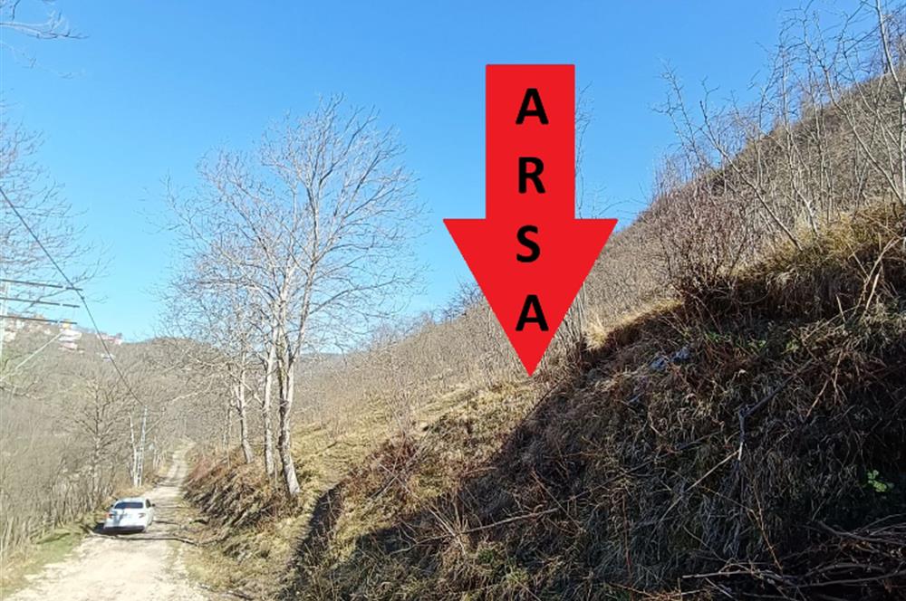 🌿 ORDU AYBASTI KÜÇÜKYAKA’DA DOĞAYLA İÇ İÇE 5.000 m² FINDIK BAHÇESİ 🌿