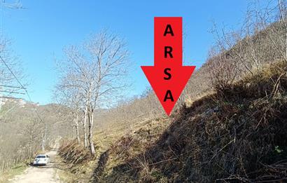 🌿 ORDU AYBASTI KÜÇÜKYAKA’DA DOĞAYLA İÇ İÇE 5.000 m² FINDIK BAHÇESİ 🌿