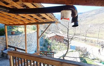 🌿 ORDU AYBASTI’DA DEREYE SIFIR, AHŞAP EVLİ 500 m² SATILIK ARSA 🌿