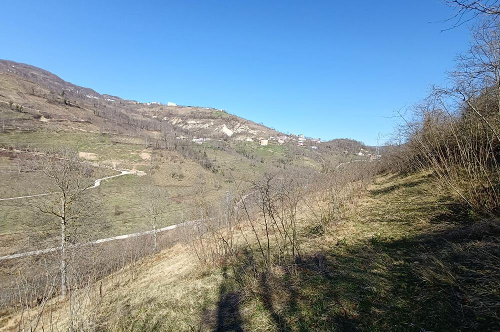 🌿 ORDU AYBASTI KÜÇÜKYAKA’DA DOĞAYLA İÇ İÇE 5.000 m² FINDIK BAHÇESİ 🌿