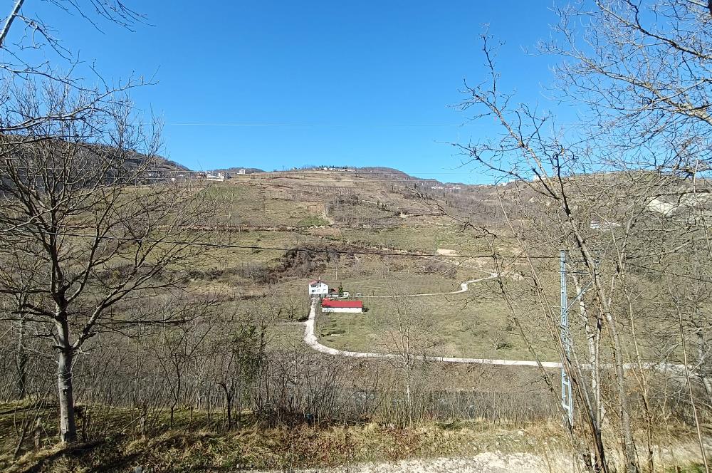 🌿 ORDU AYBASTI KÜÇÜKYAKA’DA DOĞAYLA İÇ İÇE 5.000 m² FINDIK BAHÇESİ 🌿