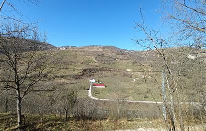 🌿 ORDU AYBASTI KÜÇÜKYAKA’DA DOĞAYLA İÇ İÇE 5.000 m² FINDIK BAHÇESİ 🌿