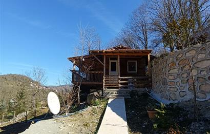 🌿 ORDU AYBASTI’DA DEREYE SIFIR, AHŞAP EVLİ 500 m² SATILIK ARSA 🌿