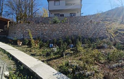 🌿 ORDU AYBASTI’DA DEREYE SIFIR, AHŞAP EVLİ 500 m² SATILIK ARSA 🌿