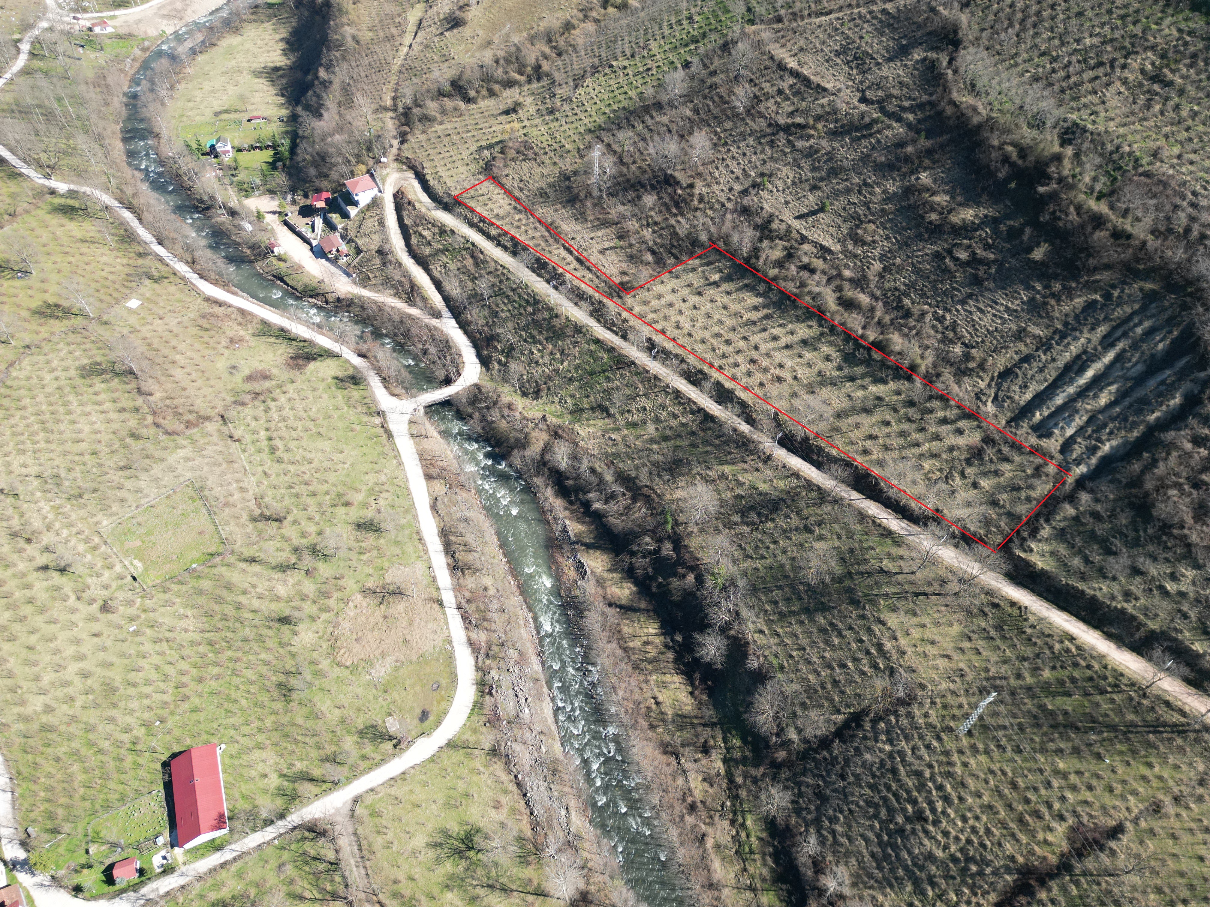 🌿 ORDU AYBASTI KÜÇÜKYAKA’DA DOĞAYLA İÇ İÇE 5.000 m² FINDIK BAHÇESİ 🌿