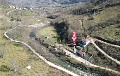 🌿 ORDU AYBASTI’DA DEREYE SIFIR, AHŞAP EVLİ 500 m² SATILIK ARSA 🌿