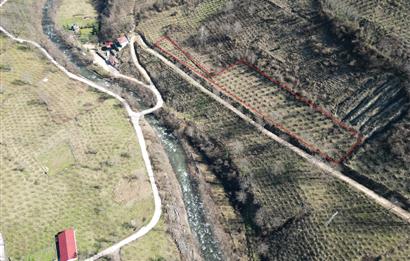 🌿 ORDU AYBASTI KÜÇÜKYAKA’DA DOĞAYLA İÇ İÇE 5.000 m² FINDIK BAHÇESİ 🌿