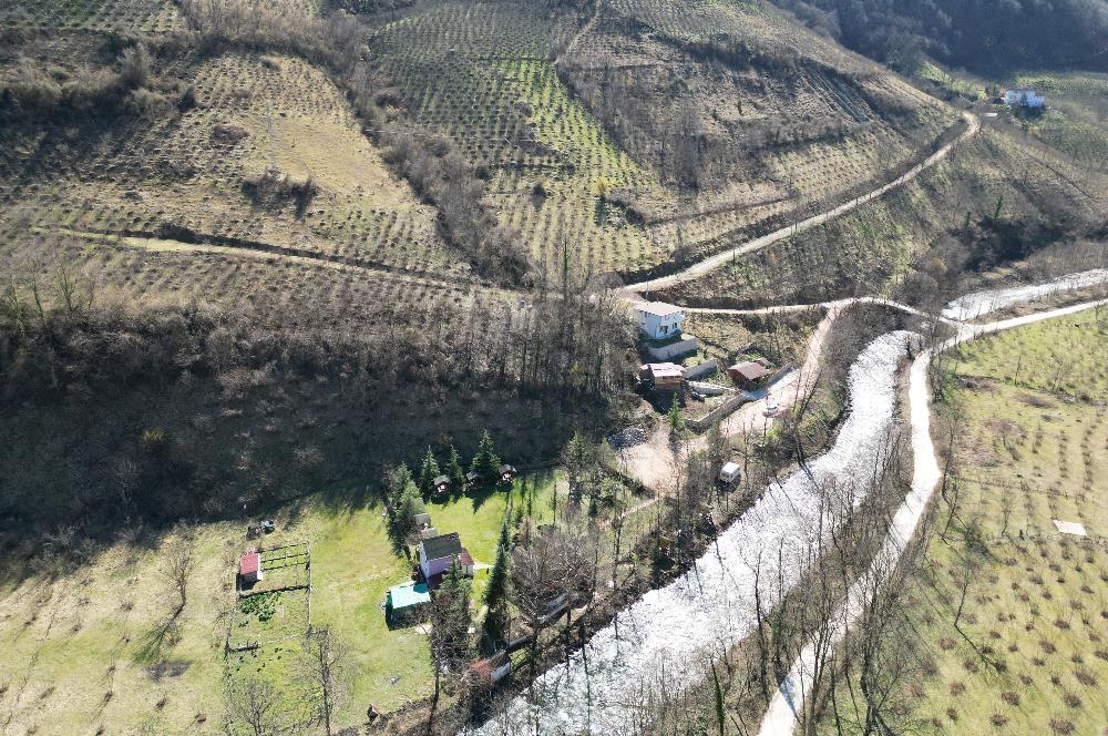 🌿 ORDU AYBASTI’DA DEREYE SIFIR, AHŞAP EVLİ 500 m² SATILIK ARSA 🌿