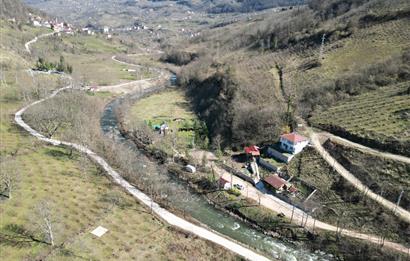 🌿 ORDU AYBASTI’DA DEREYE SIFIR, AHŞAP EVLİ 500 m² SATILIK ARSA 🌿