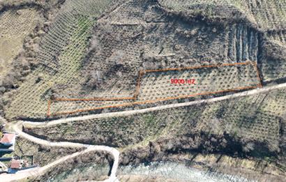 🌿 ORDU AYBASTI KÜÇÜKYAKA’DA DOĞAYLA İÇ İÇE 5.000 m² FINDIK BAHÇESİ 🌿