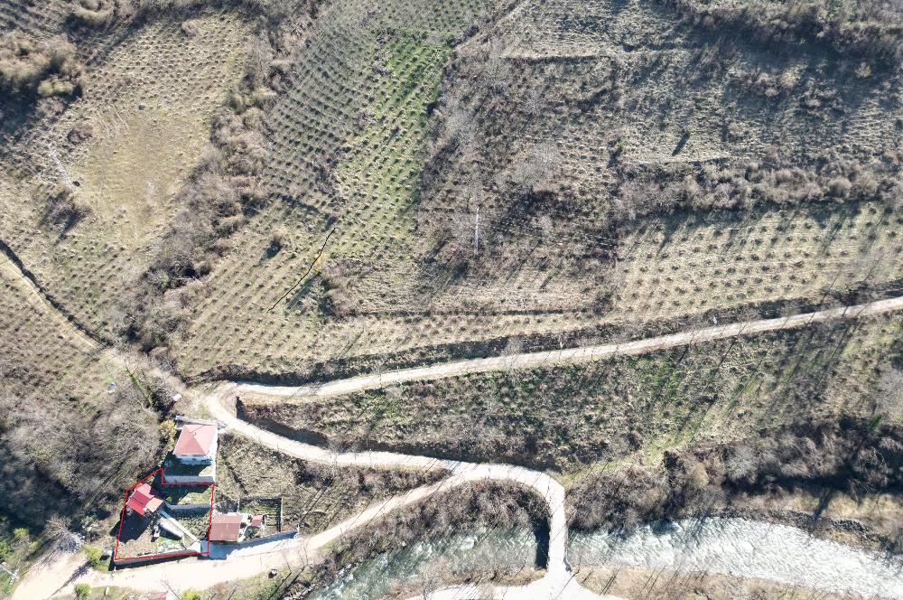 🌿 ORDU AYBASTI’DA DEREYE SIFIR, AHŞAP EVLİ 500 m² SATILIK ARSA 🌿