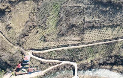 🌿 ORDU AYBASTI’DA DEREYE SIFIR, AHŞAP EVLİ 500 m² SATILIK ARSA 🌿