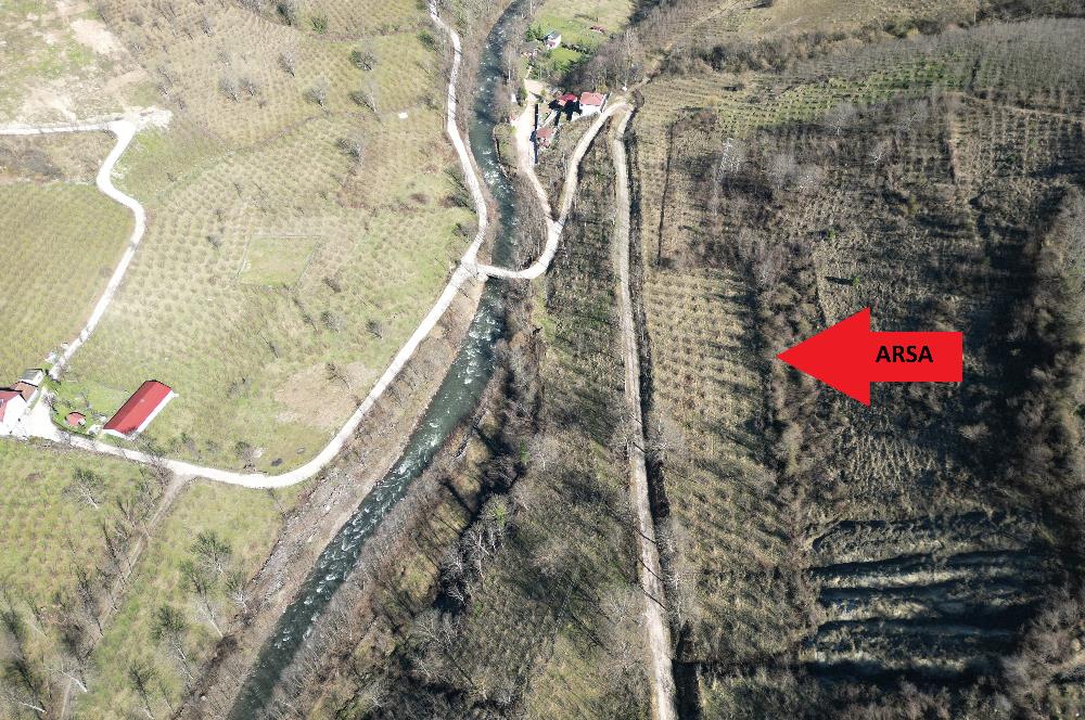 🌿 ORDU AYBASTI KÜÇÜKYAKA’DA DOĞAYLA İÇ İÇE 5.000 m² FINDIK BAHÇESİ 🌿