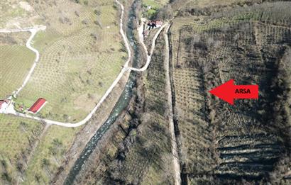 🌿 ORDU AYBASTI KÜÇÜKYAKA’DA DOĞAYLA İÇ İÇE 5.000 m² FINDIK BAHÇESİ 🌿