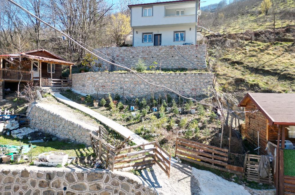 🌿 ORDU AYBASTI’DA DEREYE SIFIR, AHŞAP EVLİ 500 m² SATILIK ARSA 🌿