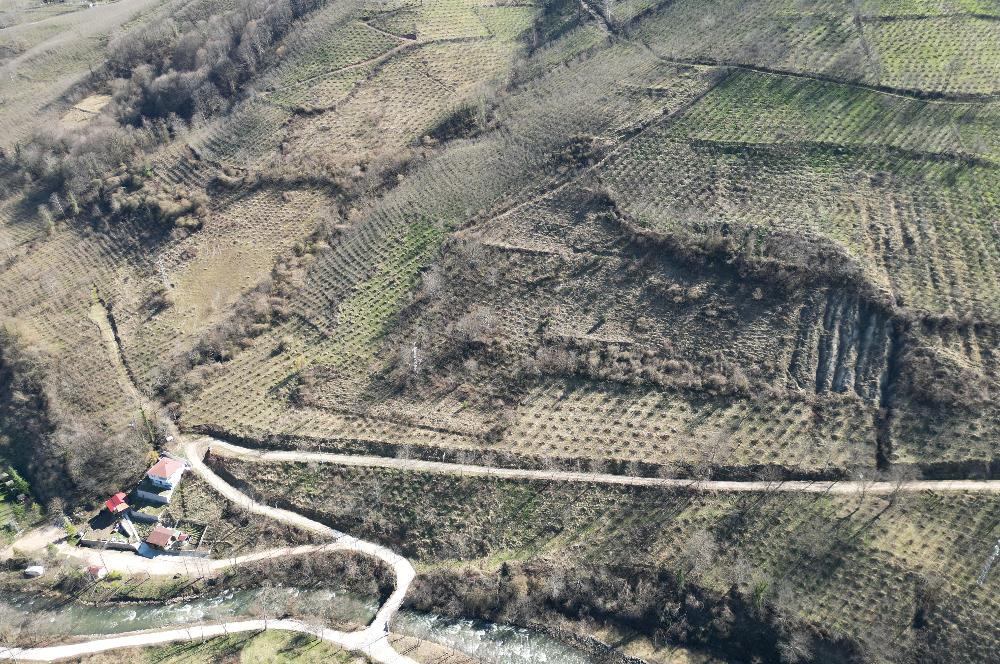 🌿 ORDU AYBASTI KÜÇÜKYAKA’DA DOĞAYLA İÇ İÇE 5.000 m² FINDIK BAHÇESİ 🌿