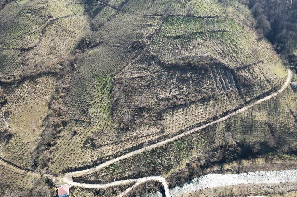 🌿 ORDU AYBASTI KÜÇÜKYAKA’DA DOĞAYLA İÇ İÇE 5.000 m² FINDIK BAHÇESİ 🌿