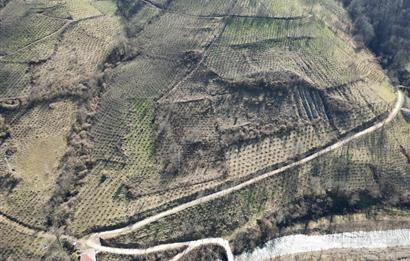 🌿 ORDU AYBASTI KÜÇÜKYAKA’DA DOĞAYLA İÇ İÇE 5.000 m² FINDIK BAHÇESİ 🌿