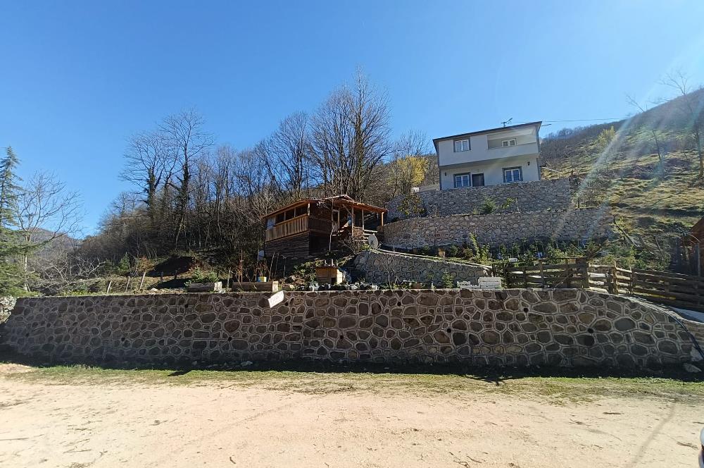 🌿 ORDU AYBASTI’DA DEREYE SIFIR, AHŞAP EVLİ 500 m² SATILIK ARSA 🌿