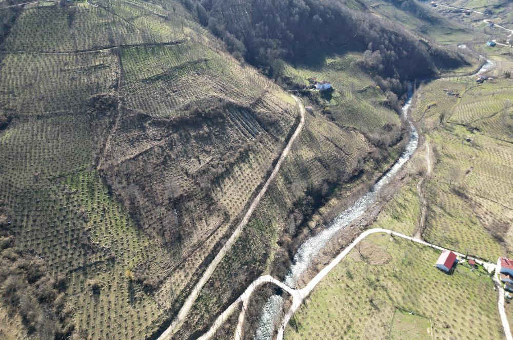 🌿 ORDU AYBASTI KÜÇÜKYAKA’DA DOĞAYLA İÇ İÇE 5.000 m² FINDIK BAHÇESİ 🌿